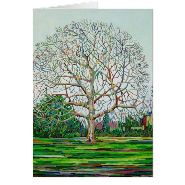 Bow Tree Winter (Front)