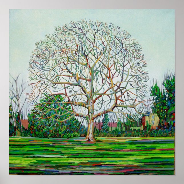 Bow Tree Winter Poster (Front)