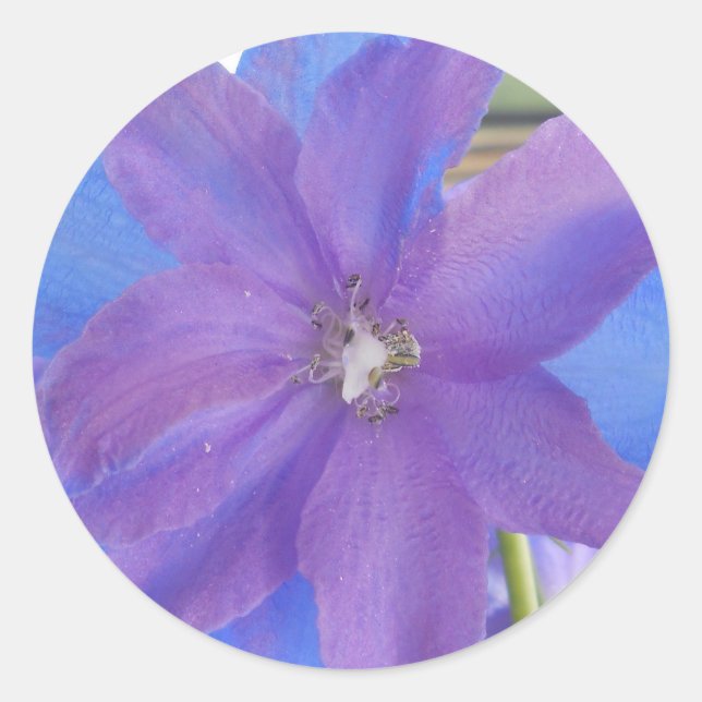 Bowen Classic Round Sticker (Front)