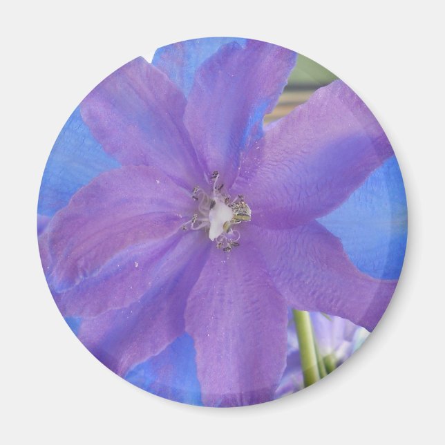 Bowen Magnet (Front)