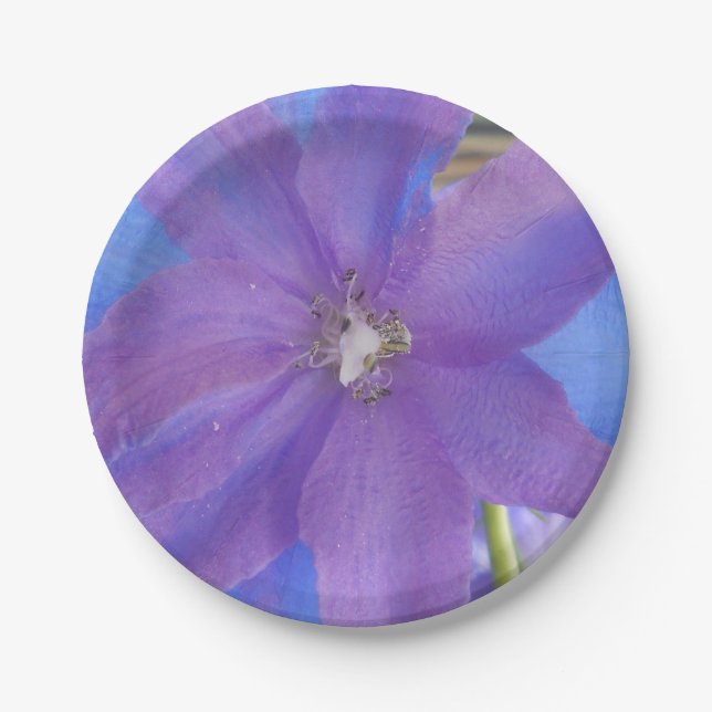 Bowen Paper Plate (Front)