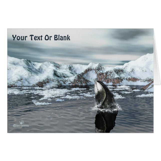 Bowhead Whale (Front Horizontal)