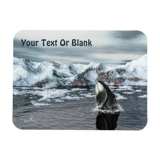 Bowhead Whale Magnet (Horizontal)