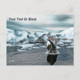 Bowhead Whale Postcard