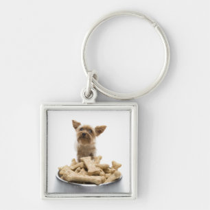 Bowl of dog treats by Yorkshire Terrier Key Ring