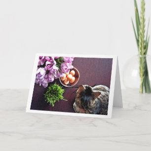 Bowl of eggs. Snapshot 1 Holiday Card