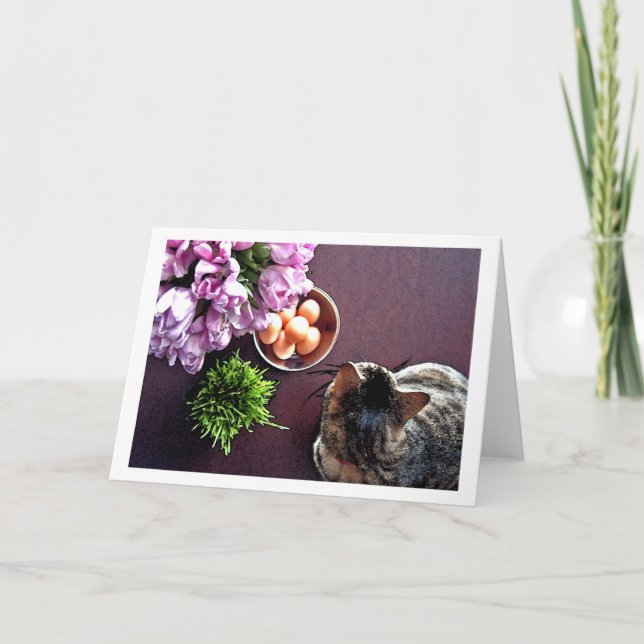 Bowl of eggs. Snapshot 1 Holiday Card (Front)