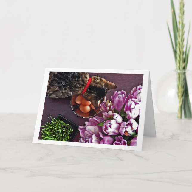 Bowl of eggs. Snapshot 4 Holiday Card (Front)