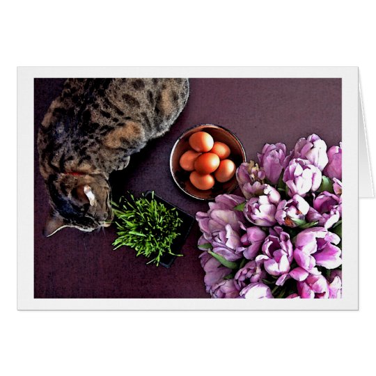 Bowl of eggs. Snapshot 5 Card
