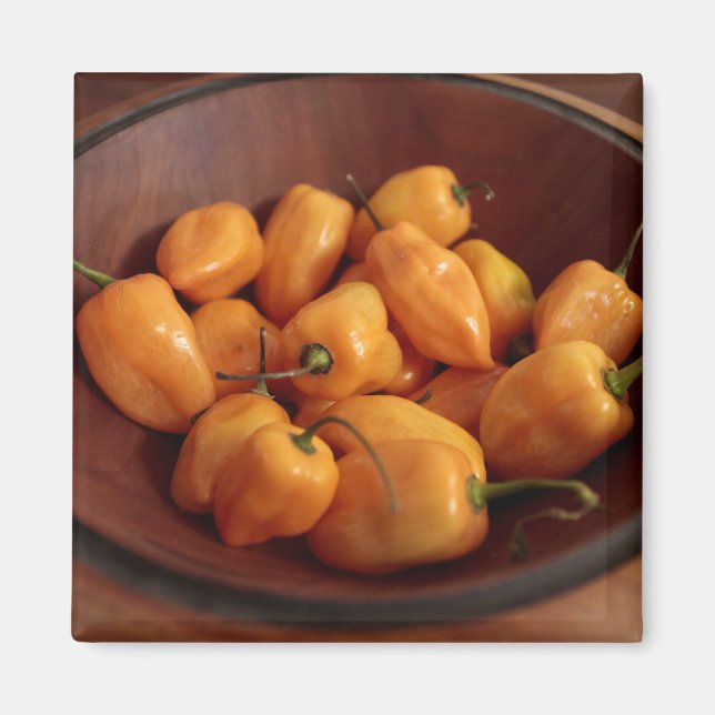 Bowl of habanero peppers, Traditional food Magnet (Front)