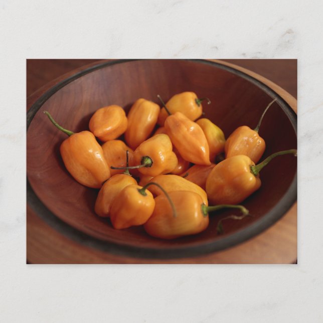 Bowl of habanero peppers, Traditional food Postcard (Front)