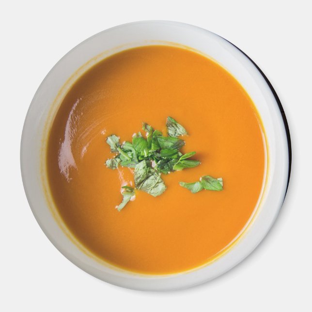 Bowl of Tomato Soup Food Refrigerator Magnet (Front)