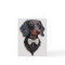 bowtie Dachshund greeting card