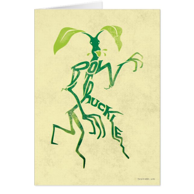 BOWTRUCKLE™ PICKETT™ Typography Graphic (Front)