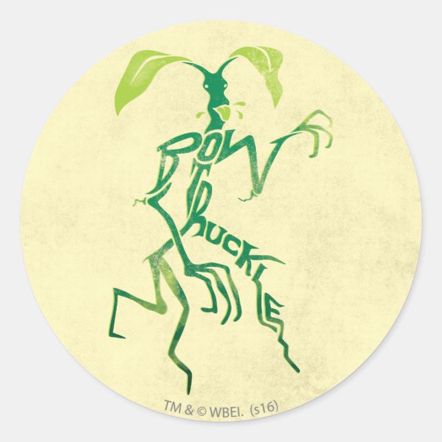 BOWTRUCKLE™ PICKETT™ Typography Graphic Classic Round Sticker (Front)