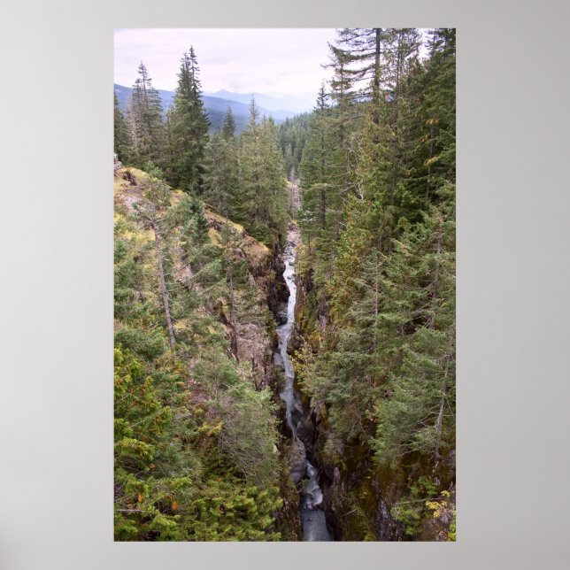 Box Canyon Print (Front)