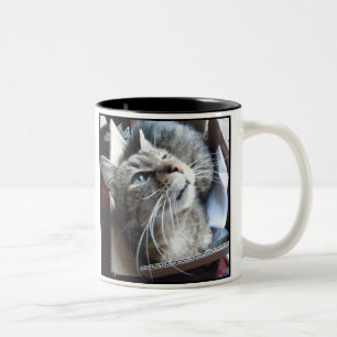 Box o Cat Two-Tone Coffee Mug