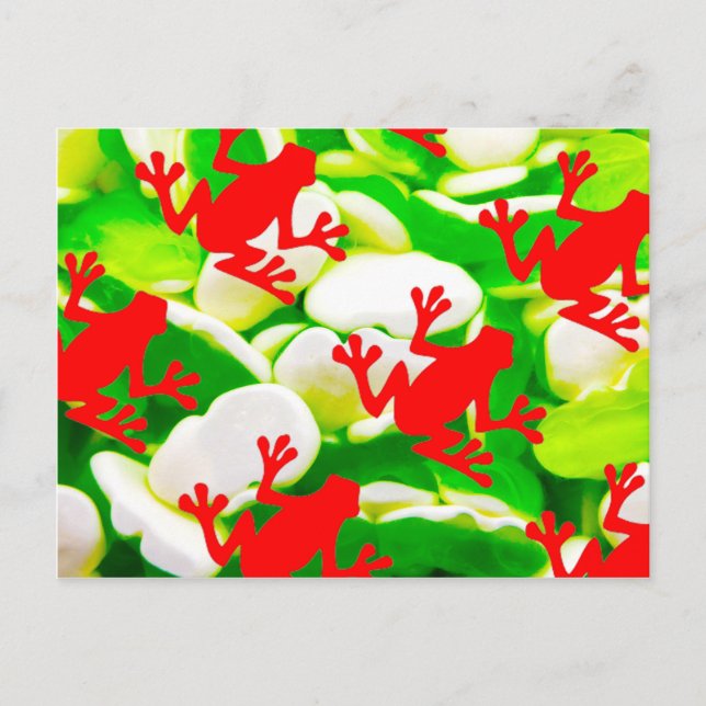 Box of Frogs Postcard (Front)