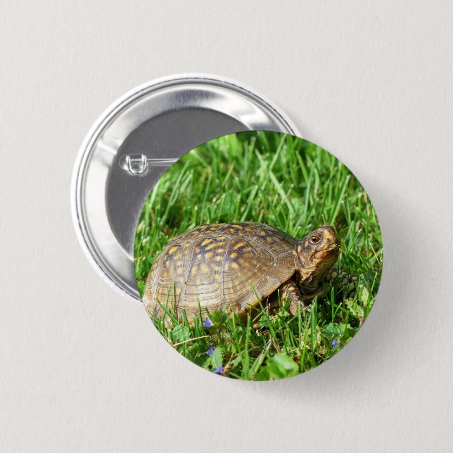 Box Turtle 6 Cm Round Badge (Front & Back)