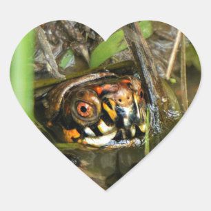 Box Turtle and Tadpoles Heart Sticker