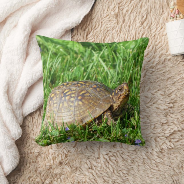 Box Turtle Cushion (Blanket)