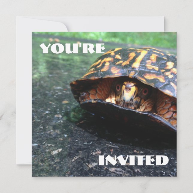 Box Turtle Invitation (Front)