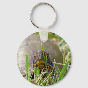 Box Turtle Key Ring