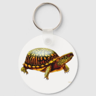Box Turtle Keychain