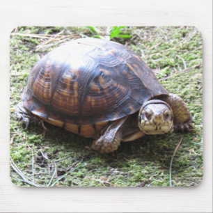 Box Turtle - Mossy Path Mouse Mat