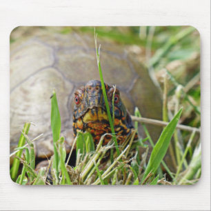 Box Turtle Mouse Mat