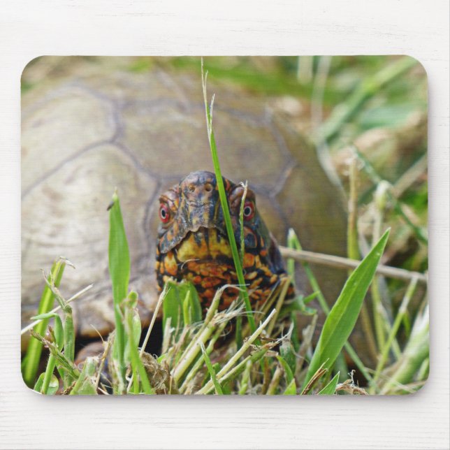 Box Turtle Mouse Mat (Front)