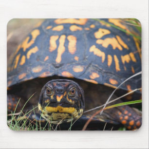 Box Turtle Mouse Mat