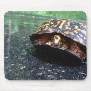 Box Turtle Mouse Mat