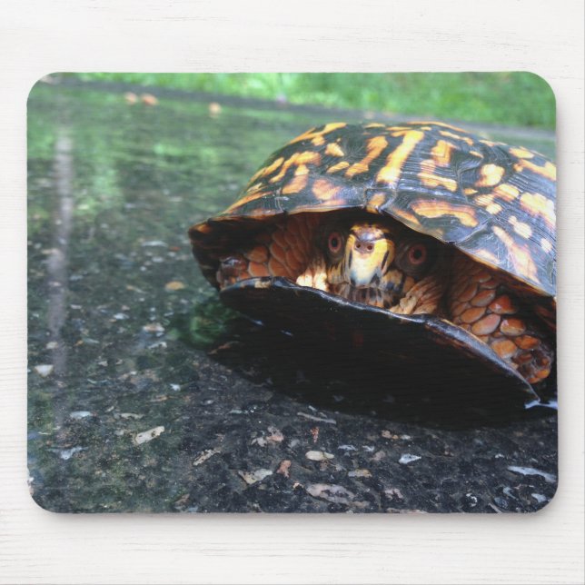 Box Turtle Mouse Mat (Front)