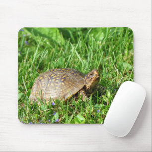 Box Turtle Mouse Mat