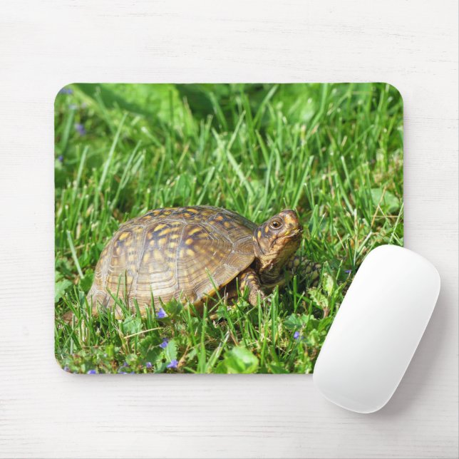 Box Turtle Mouse Mat (With Mouse)
