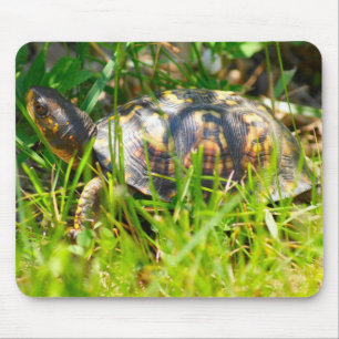 Box Turtle Mousepad