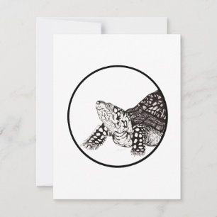 Box Turtle Note Card