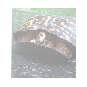 Box Turtle Notepad