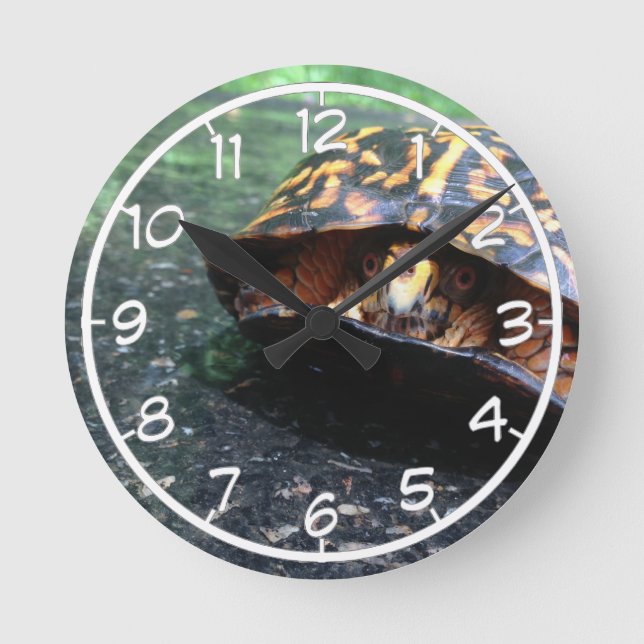 Box Turtle Round Clock (Front)
