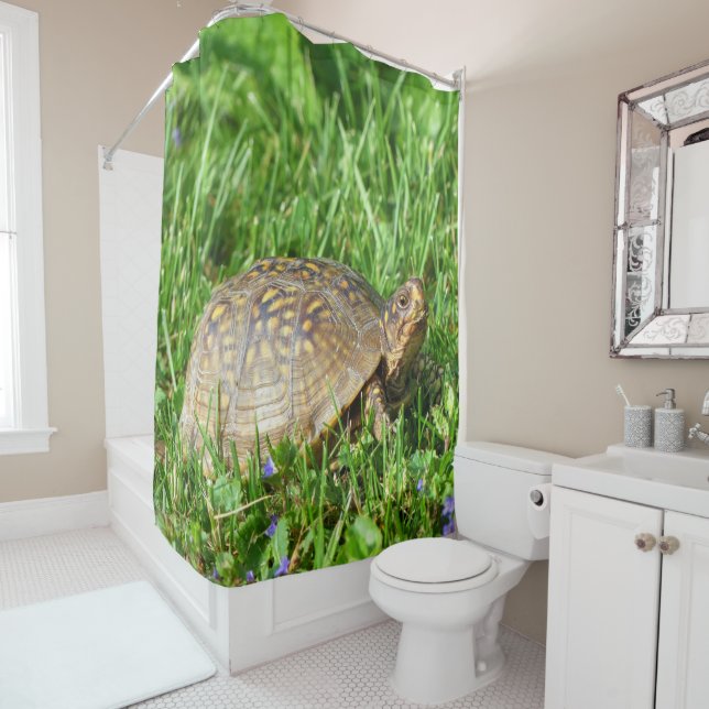 Box Turtle Shower Curtain (In Situ)