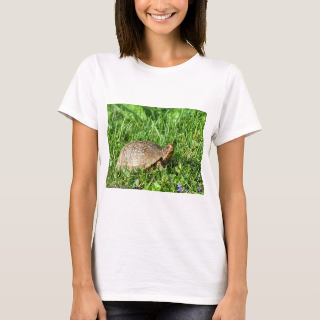 Box Turtle T-Shirt (Front)