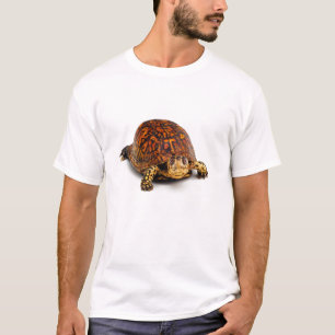 Box Turtle T-Shirt