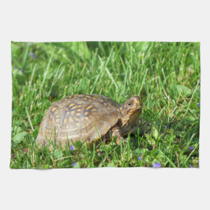 Box Turtle Tea Towel
