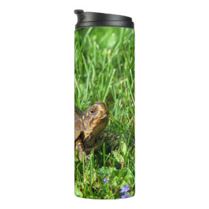 Box Turtle Thermal Tumbler