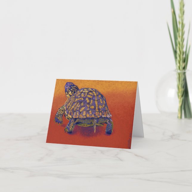 Box Turtle, tortoise Card (Front)