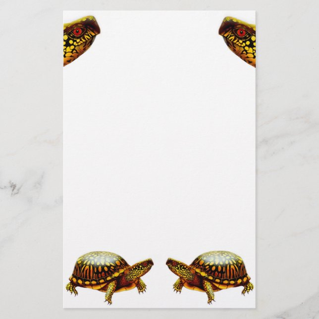 Box Turtles Stationery (Front)