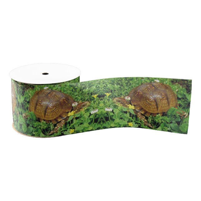 Box Turtles Summer Time Turtle Ribbon Grosgrain Ribbon (Spool)