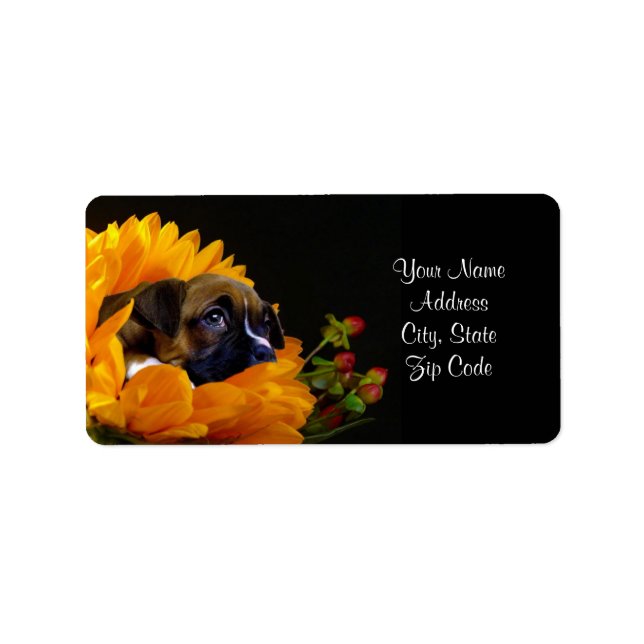 Boxer Address labels (Front)