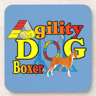 Boxer agility coaster